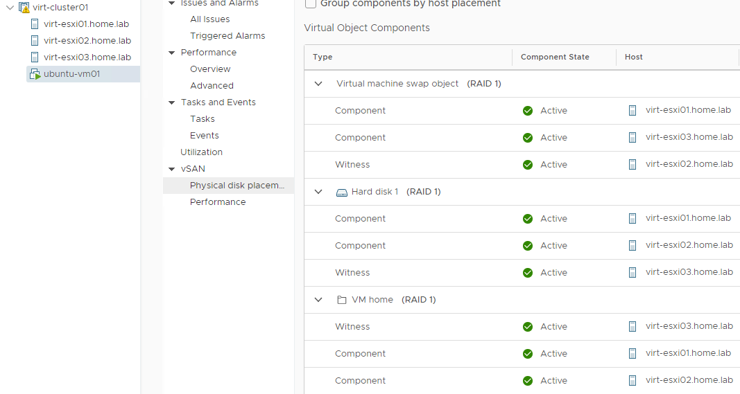 virtual object placement with vSAN default storage policy