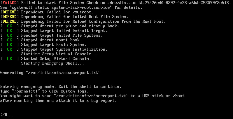 failed to start file system check